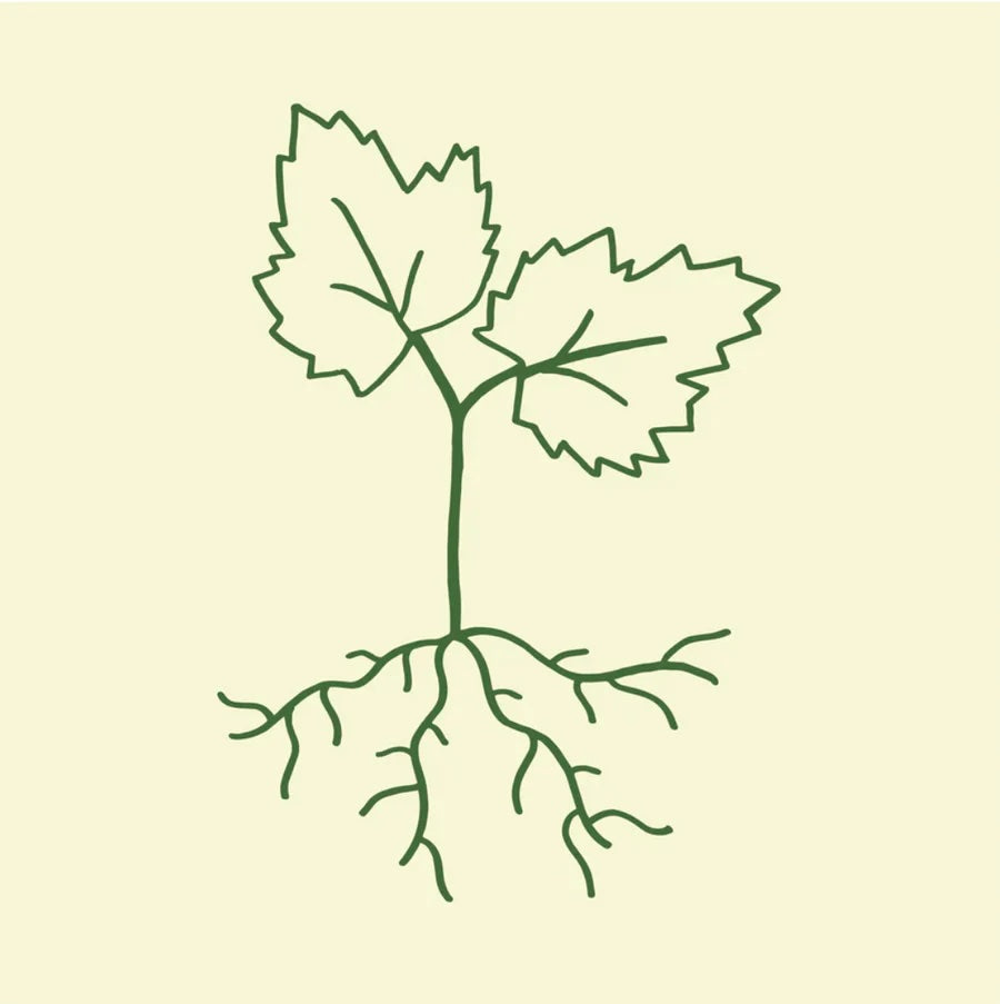 Grolleau