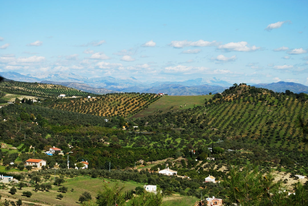 Andalusia