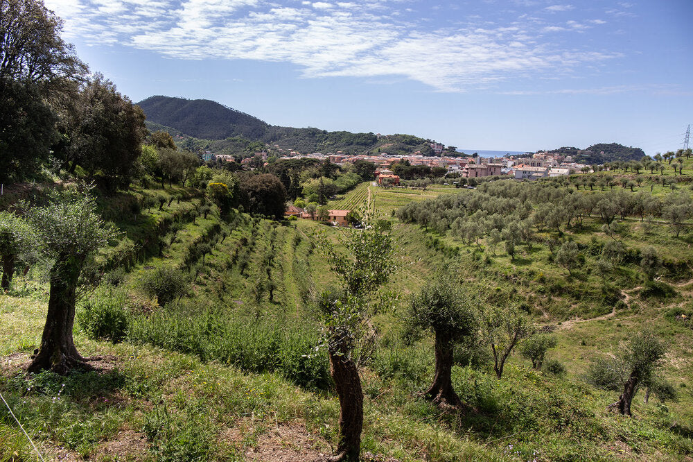 Liguria
