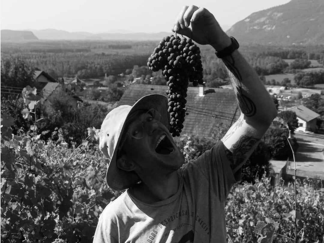 Domaine des Fables / Maudit Flacon
