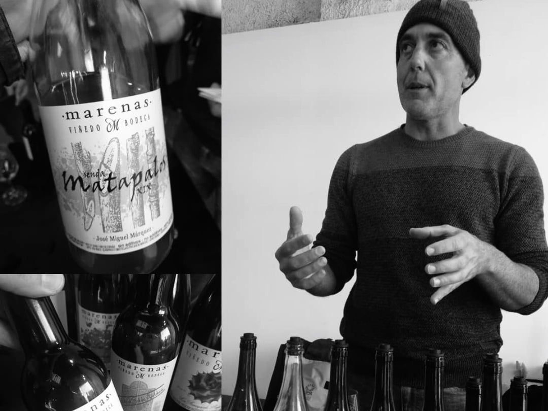 Bodega Marenas