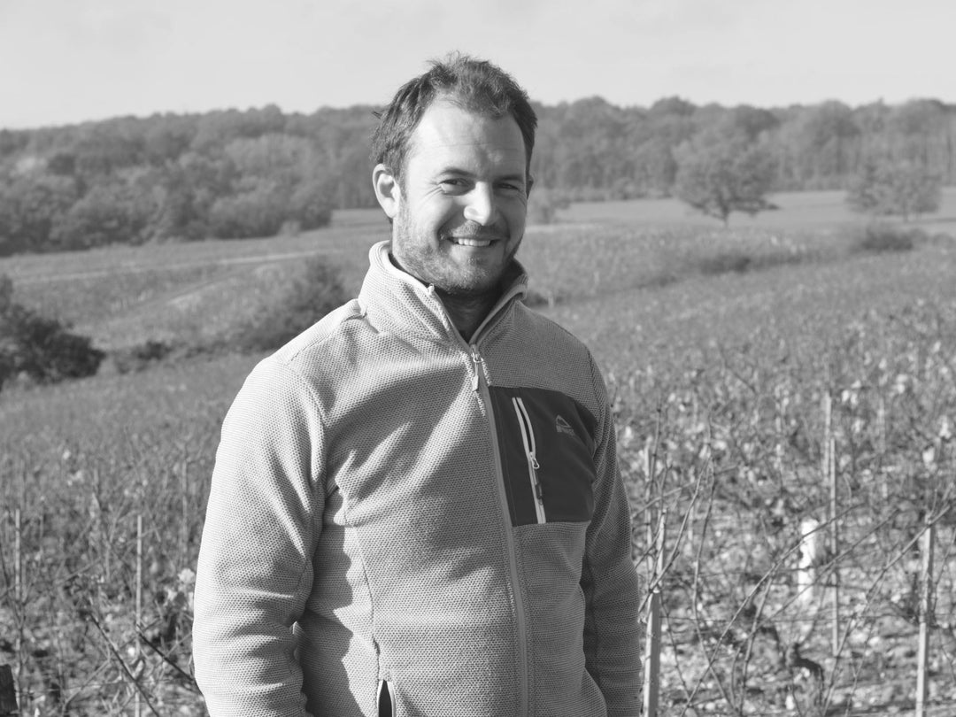 Domaine Guillaume Michaut