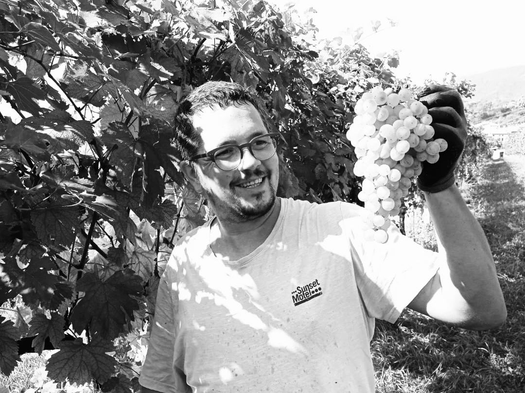 Vini Massimo Coletti