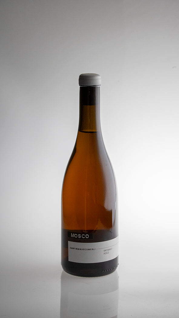 2023, Mosco Bianco