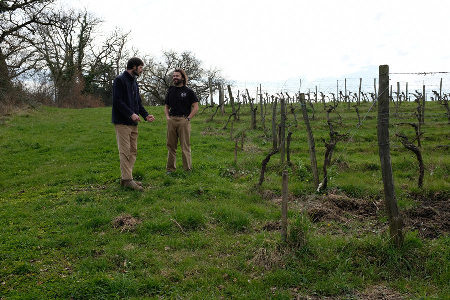 Domaine Jean Daugé