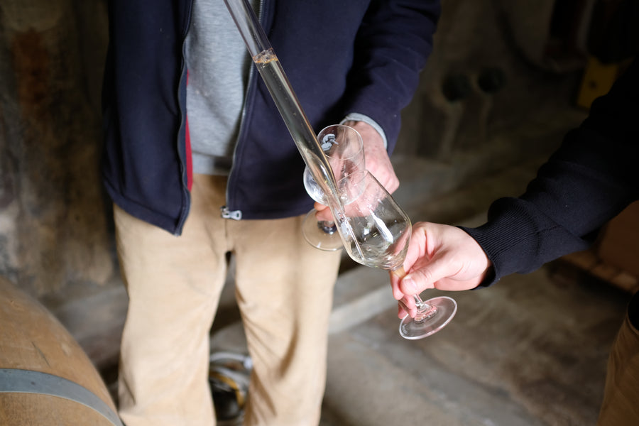 Domaine Jean Daugé