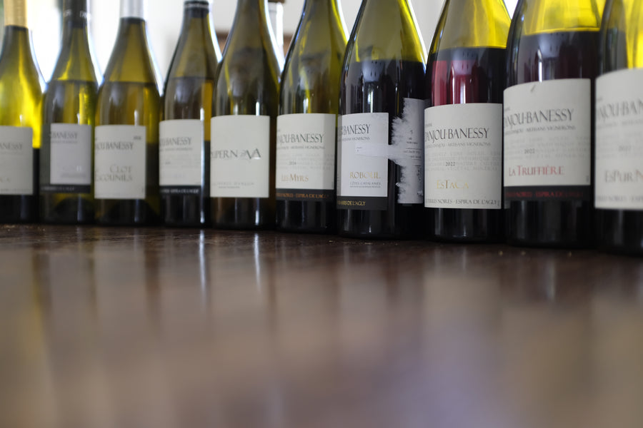 Domaine Danjou Banessy