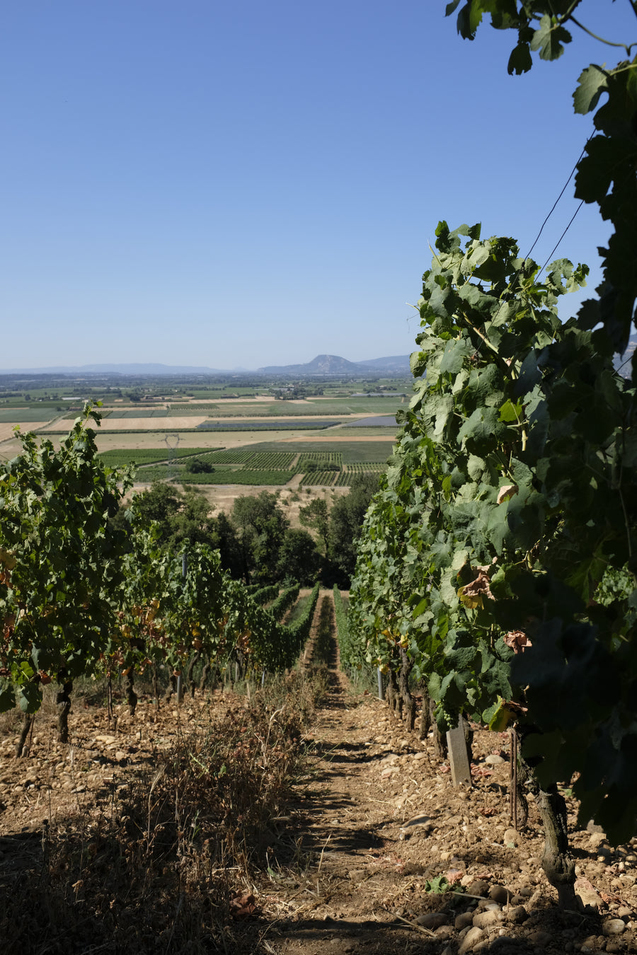 Domaine des Entrefaux