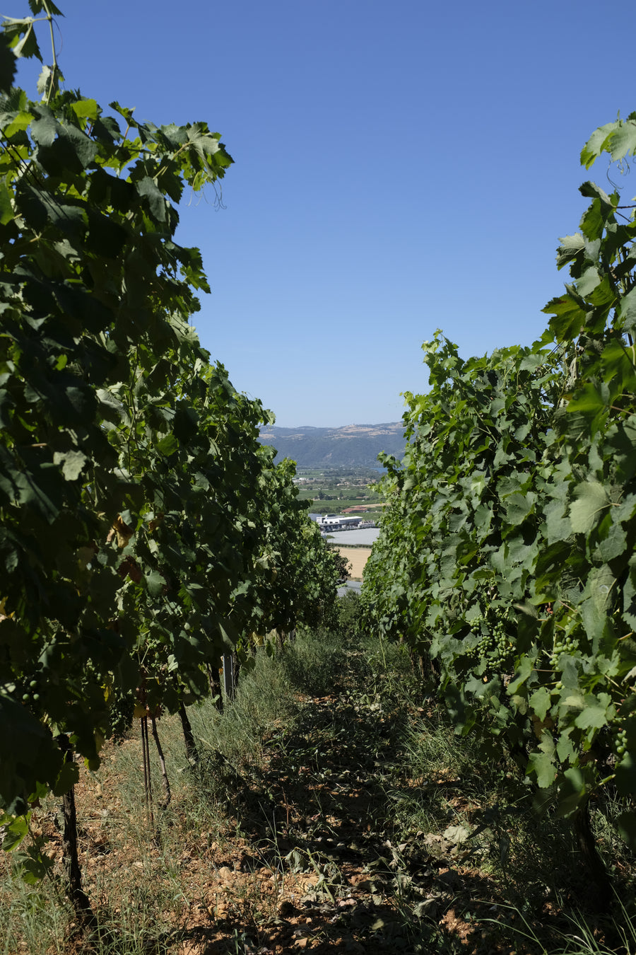 Domaine des Entrefaux