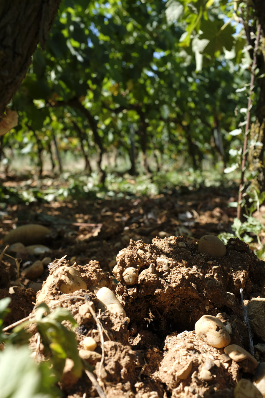 Domaine des Entrefaux