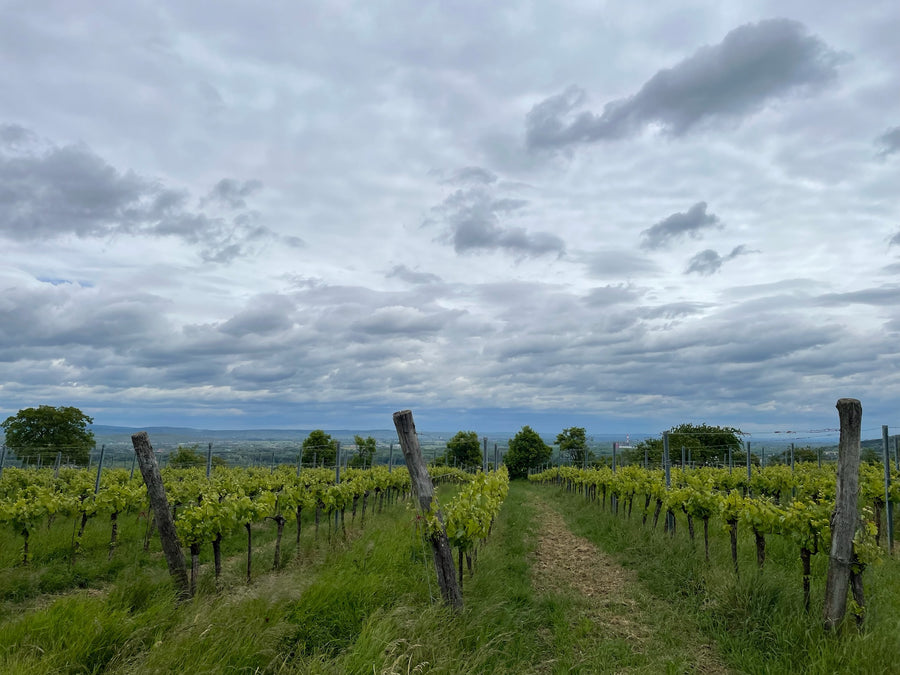 Weingut Geyerhof