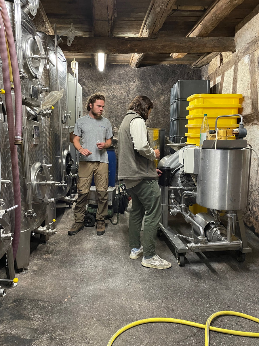 Domaine Kleinknecht