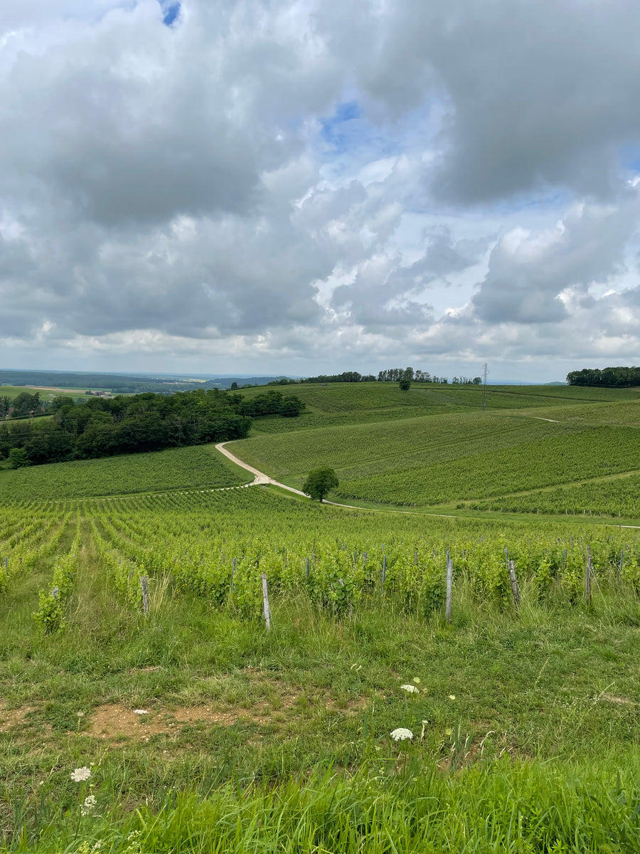 Domaine de la Renardiere