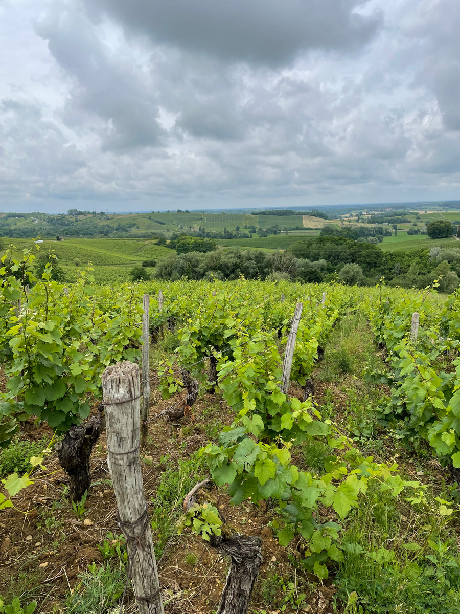 Domaine de la Renardiere