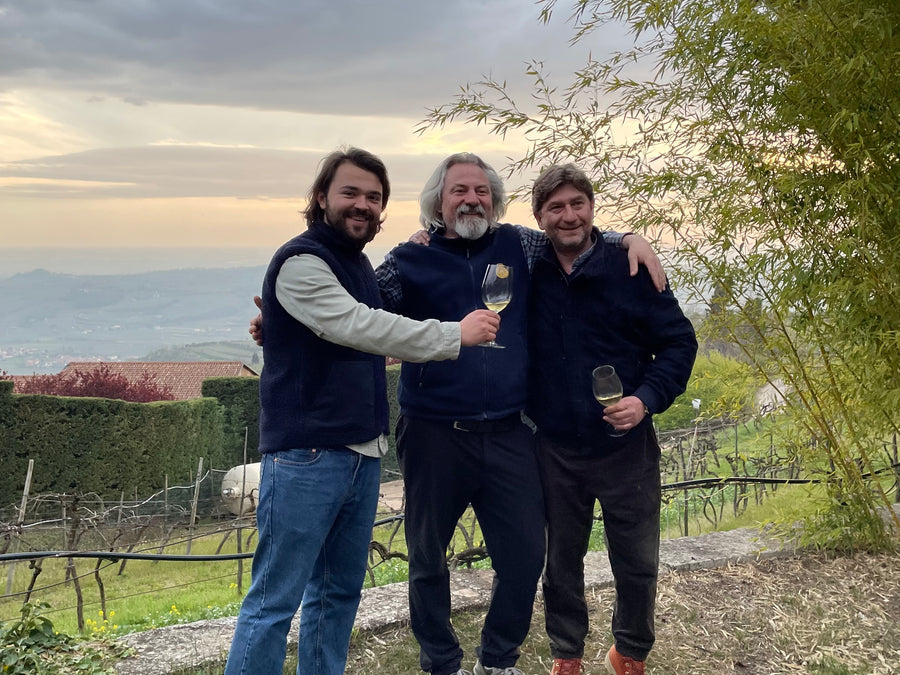 Cantina Filippi