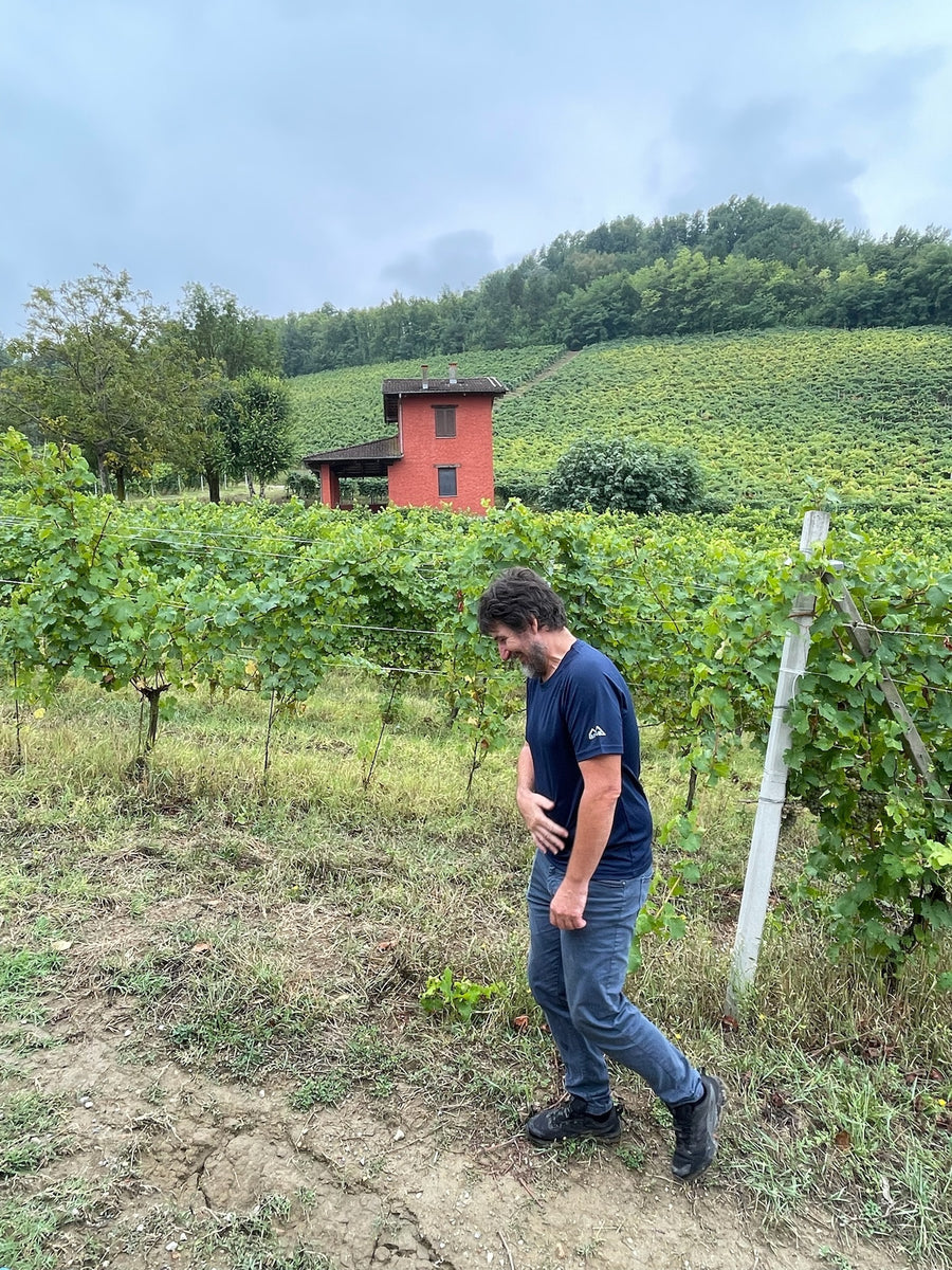 Azienda Agricola Ribote