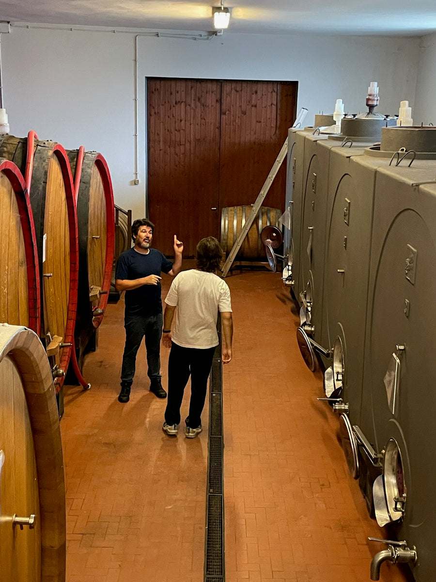 Azienda Agricola Ribote