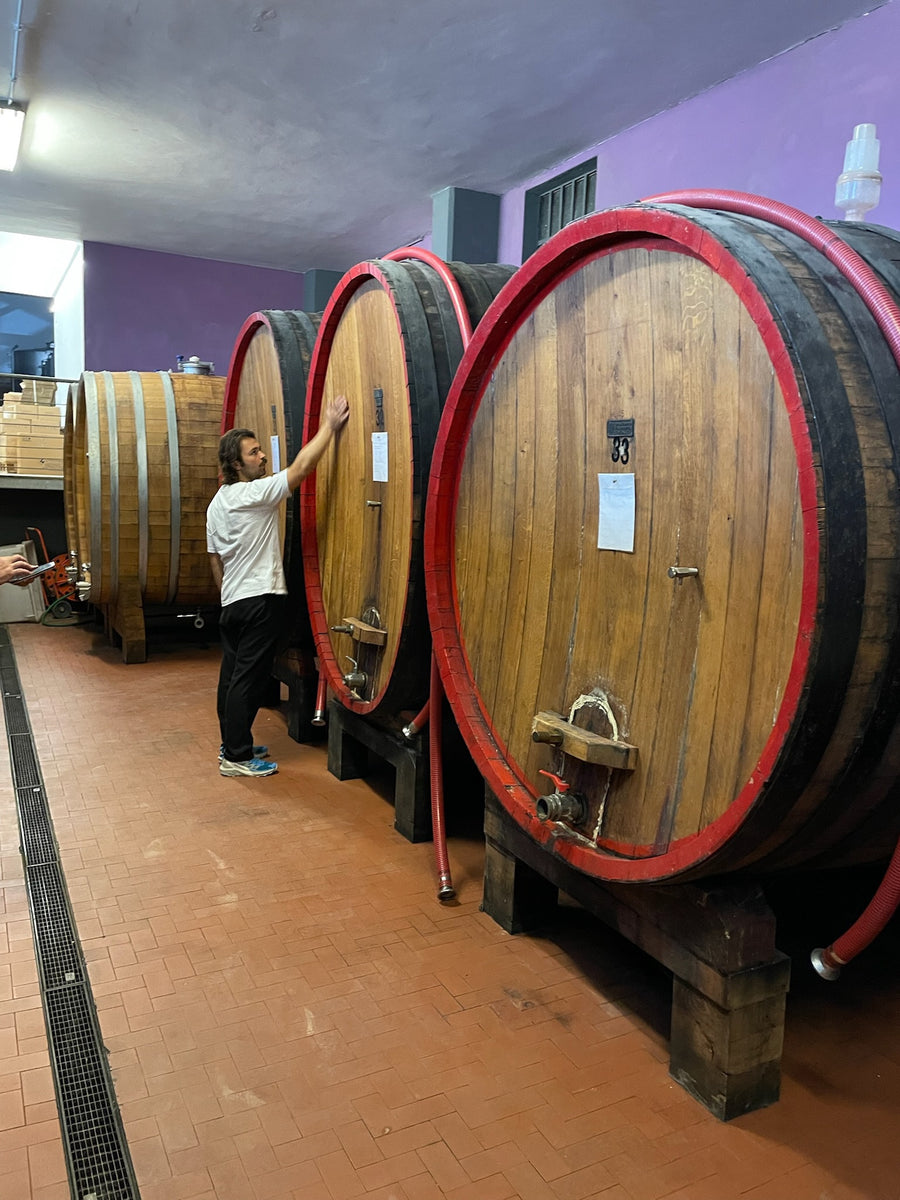 Azienda Agricola Ribote