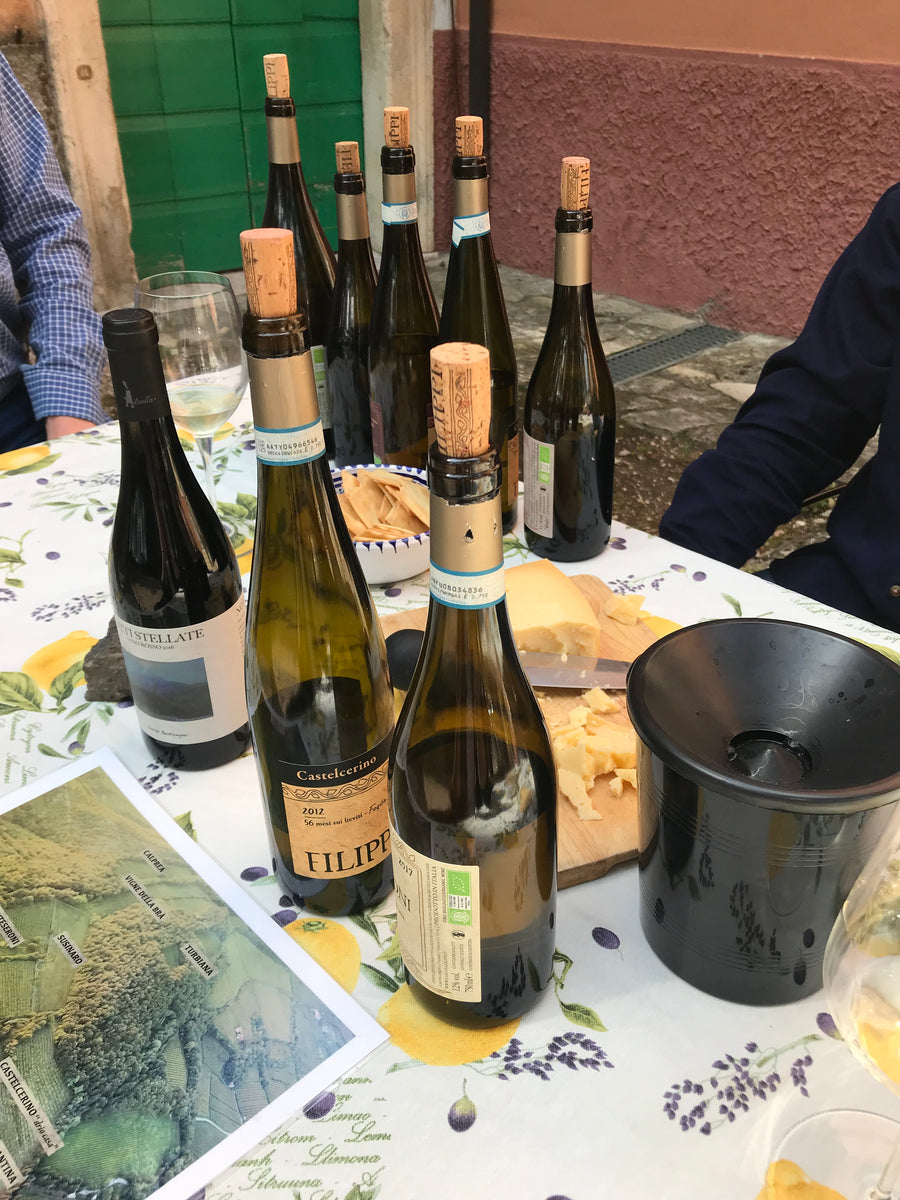 Cantina Filippi