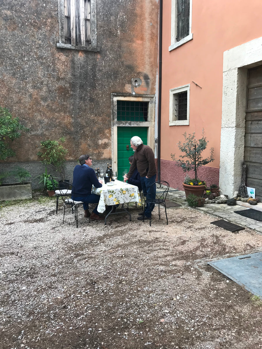 Cantina Filippi