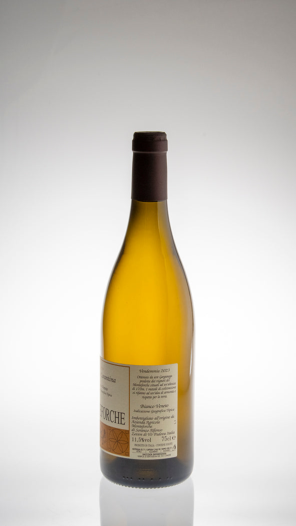 2023, Vigneto Carantina Bianco