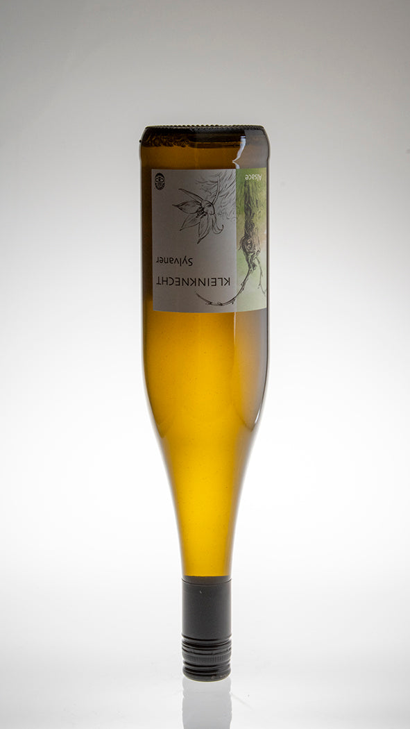 2023, Sylvaner