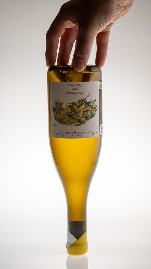 2023, Chardonnay