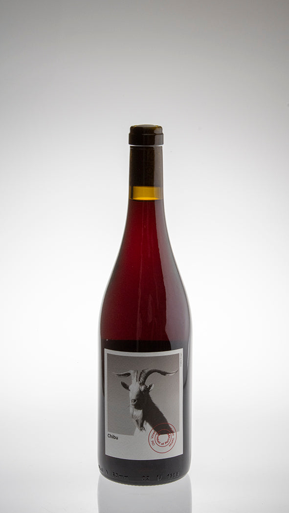 2023, Chibu Tinto
