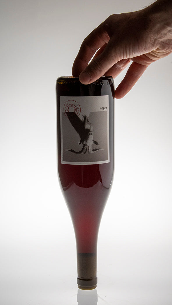 2023, Chibu Tinto
