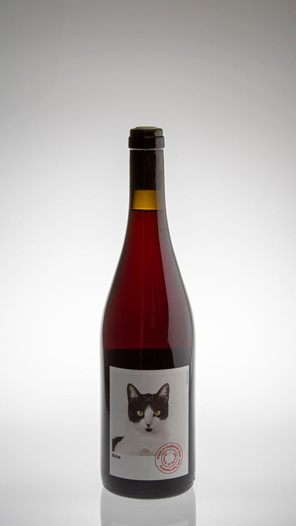 2023, Nina Tinto
