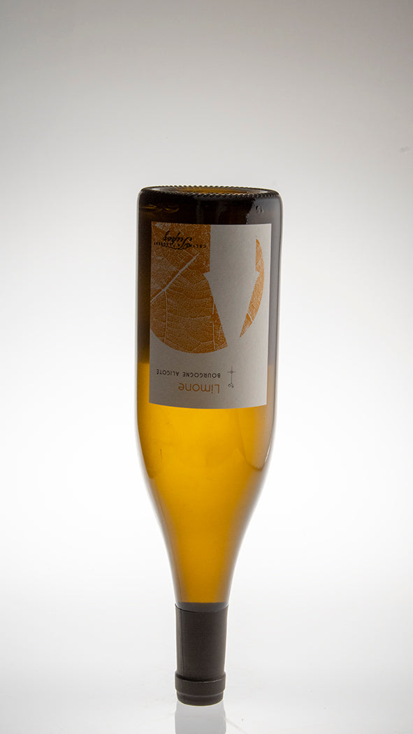 2024, Bourgogne Aligoté, Limone