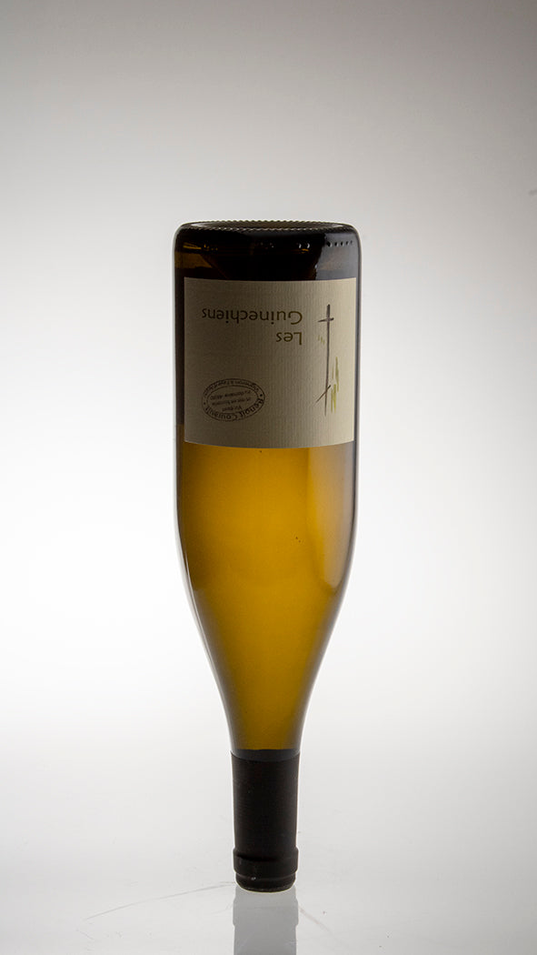 2023, Guinechiens