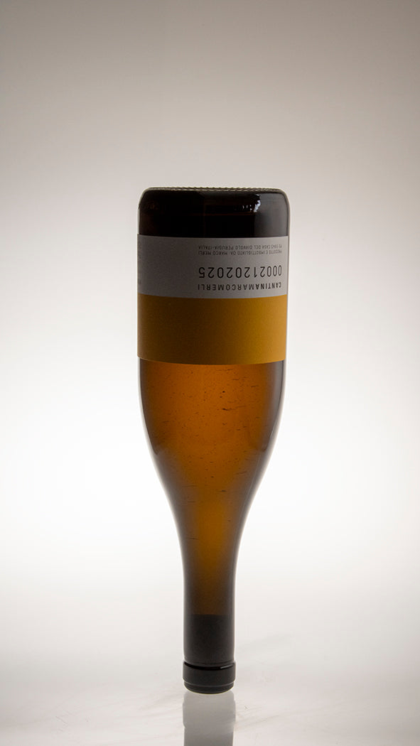 2024, Vino Bianco