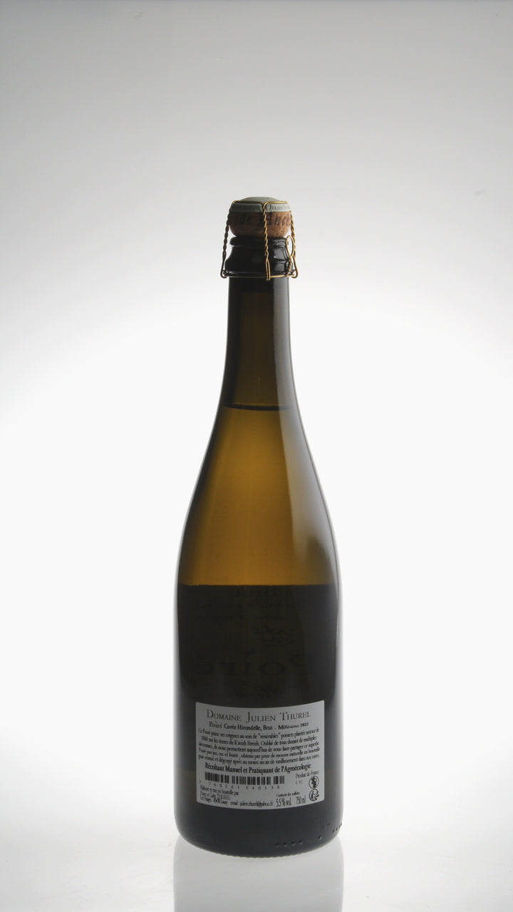 2022, Hirondelle Brut
