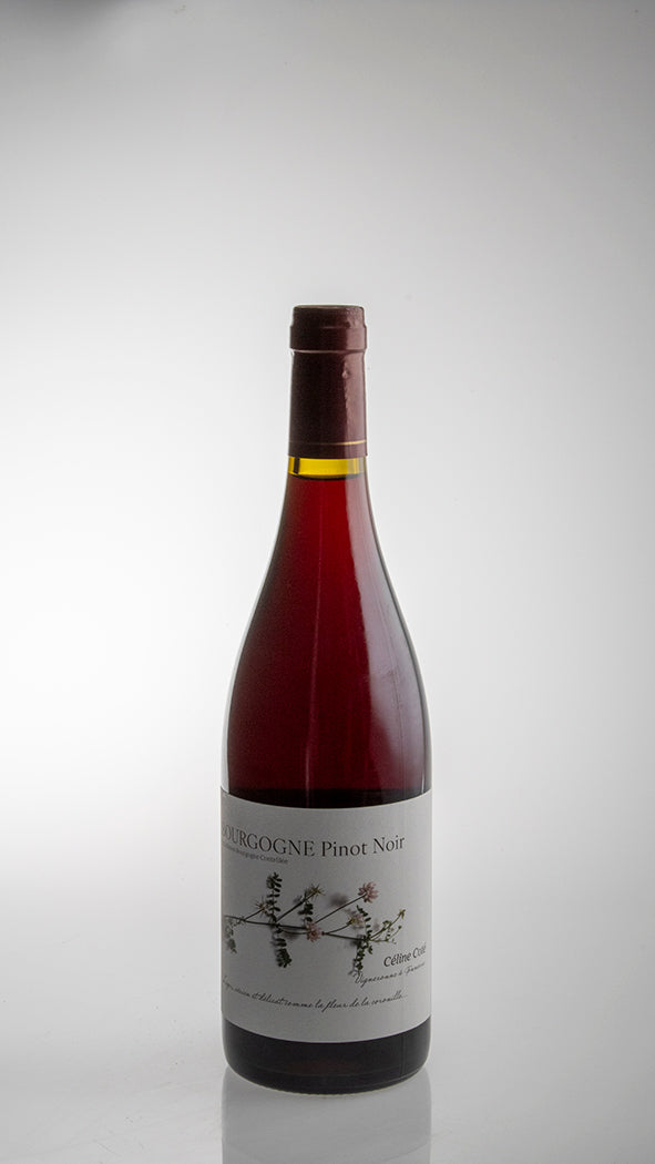 2023, Bourgogne Pinot Noir