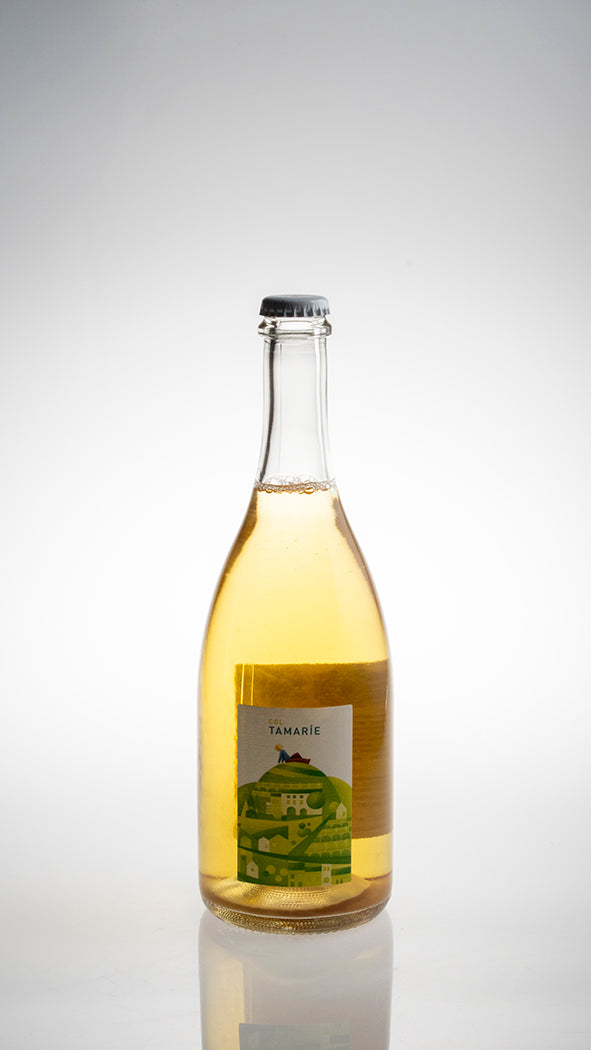 Vino Frizzante