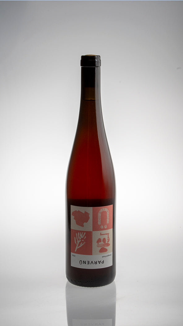 2024, Zweigelt Rosé