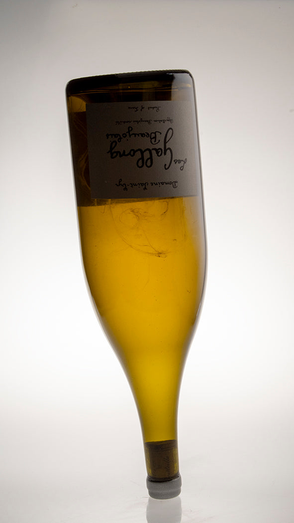 2023, Gallong Magnum