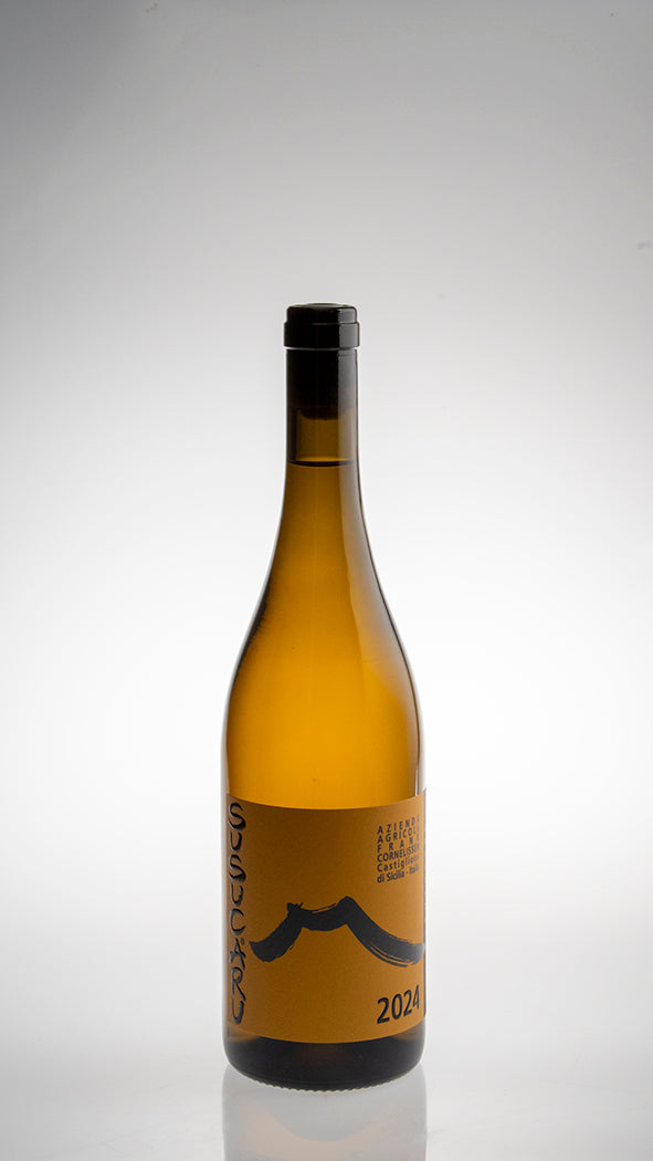 2024, Sucucaru Bianco