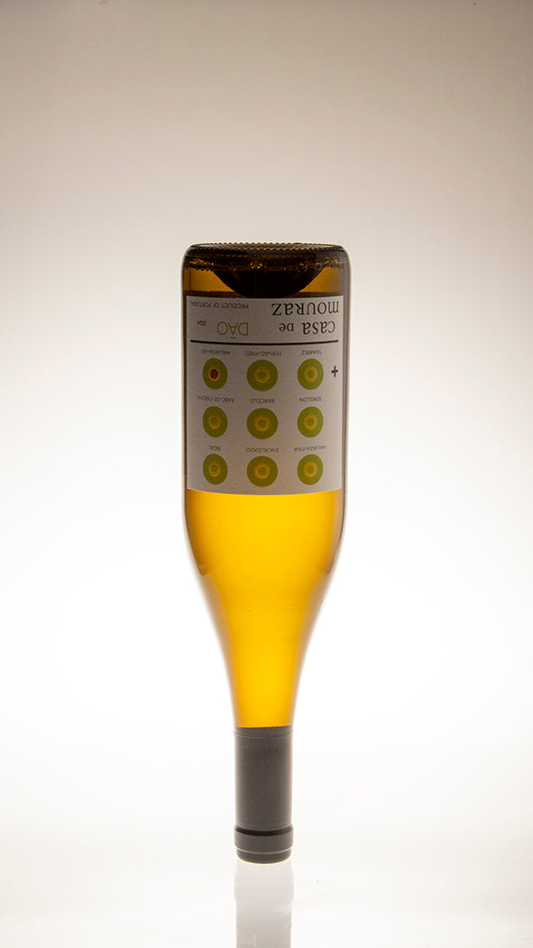 2024, Branco Dao