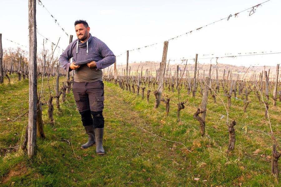 Clos Larrouyat