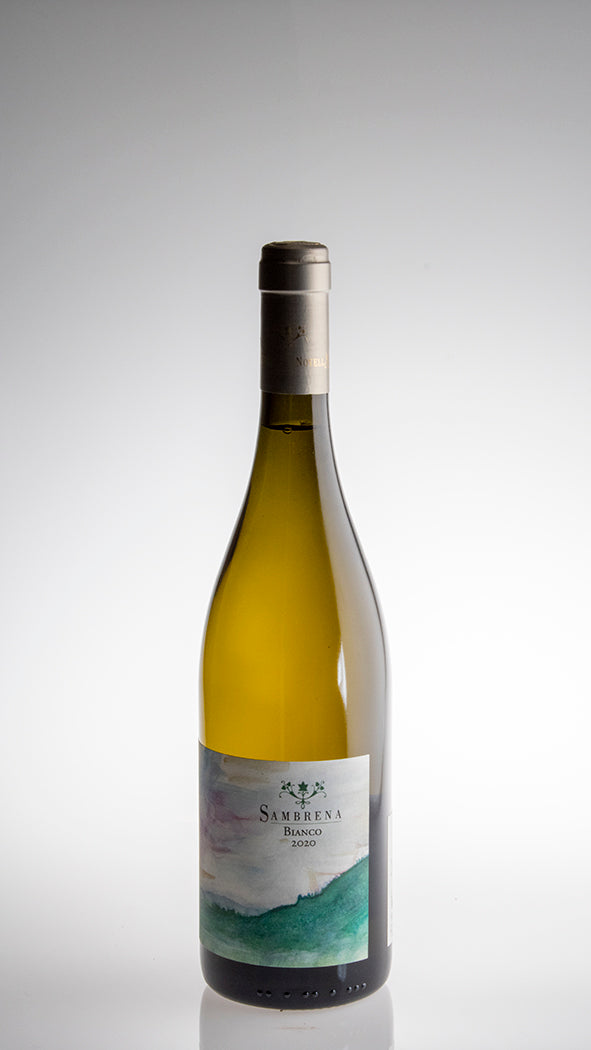 2023, Sambrena Bianco