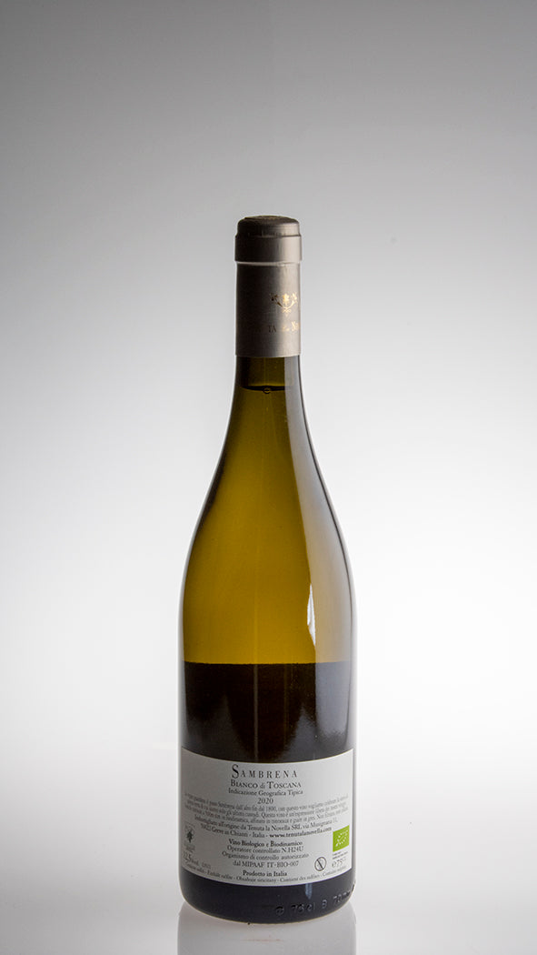2023, Sambrena Bianco