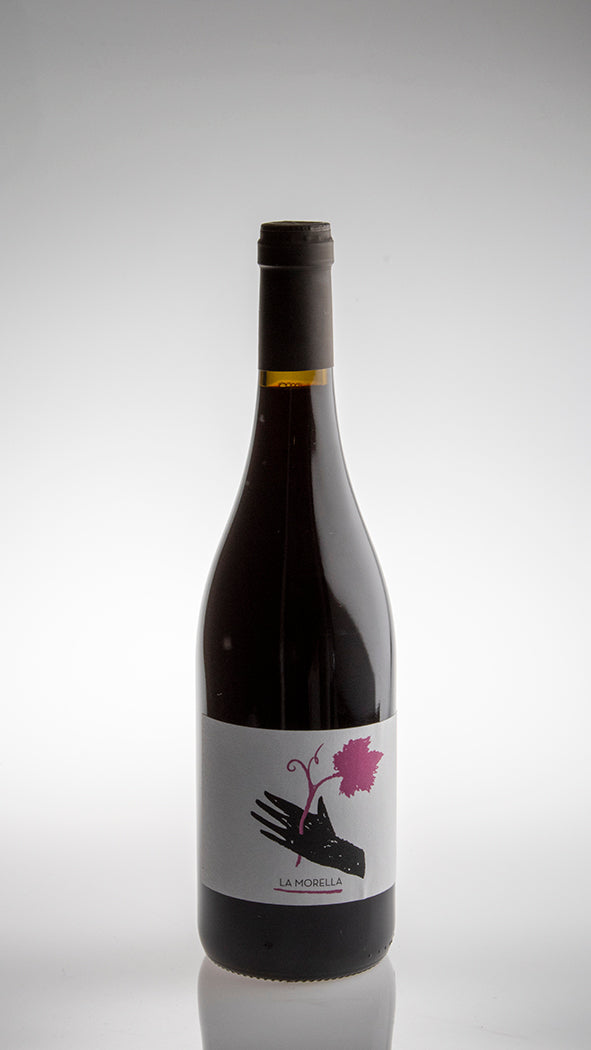 2023, Barbera